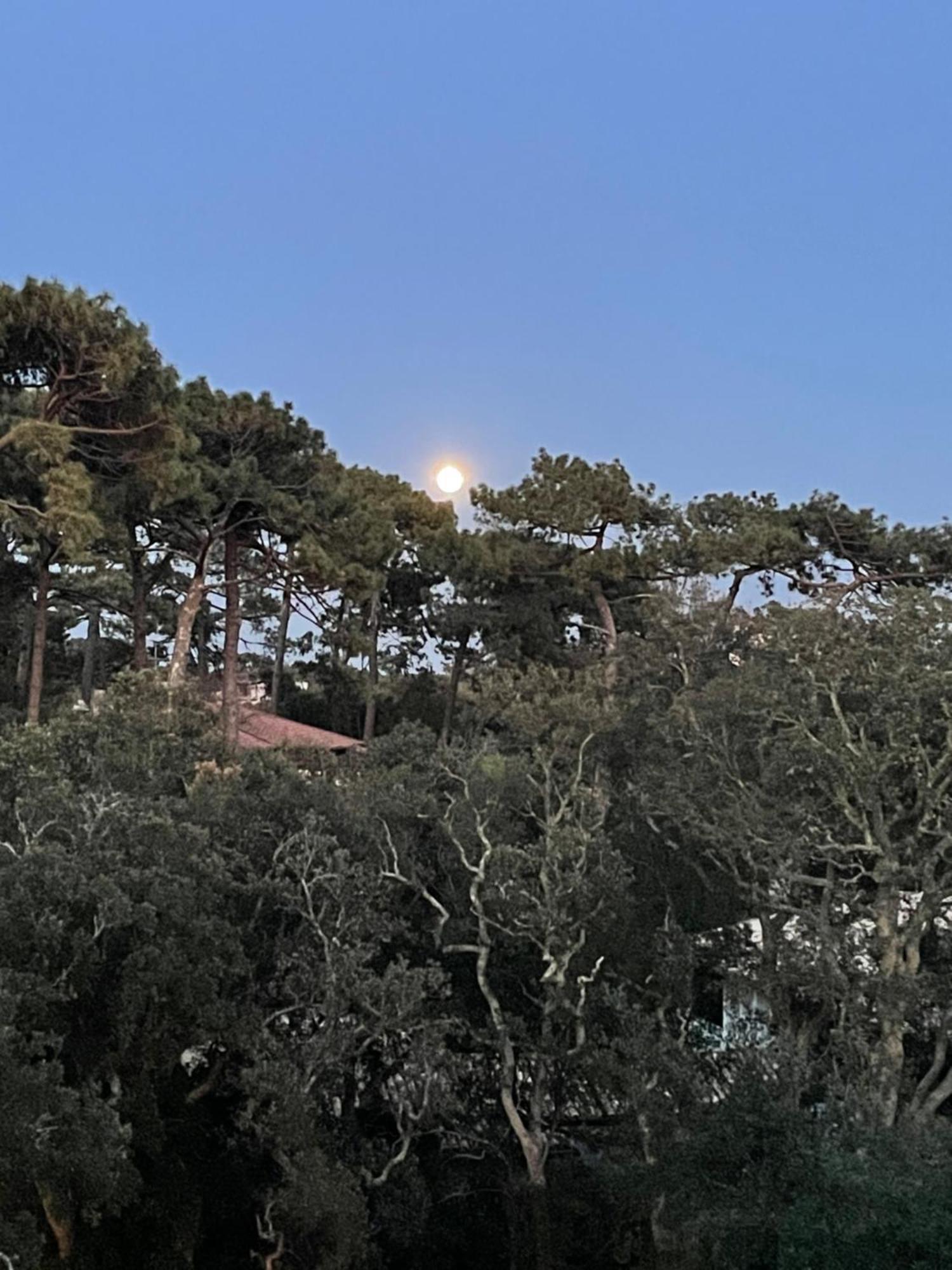 Tao Apartment Soorts-Hossegor Luaran gambar